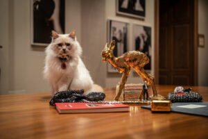 Bambi und Brenners-Park Katze Cleo - Studio Patrick vom Berg